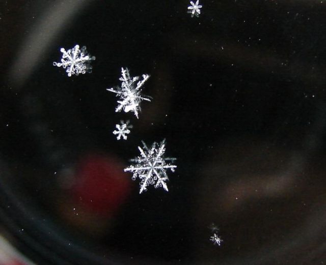 Unique and Beautiful Snowflakes (49 pics)