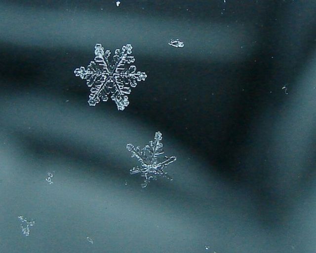 Unique and Beautiful Snowflakes (49 pics)