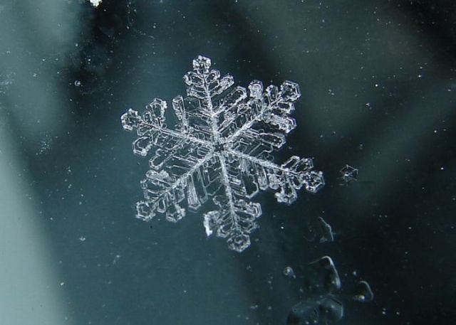 Unique and Beautiful Snowflakes (49 pics)
