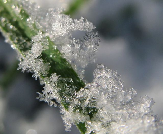 Unique and Beautiful Snowflakes (49 pics)