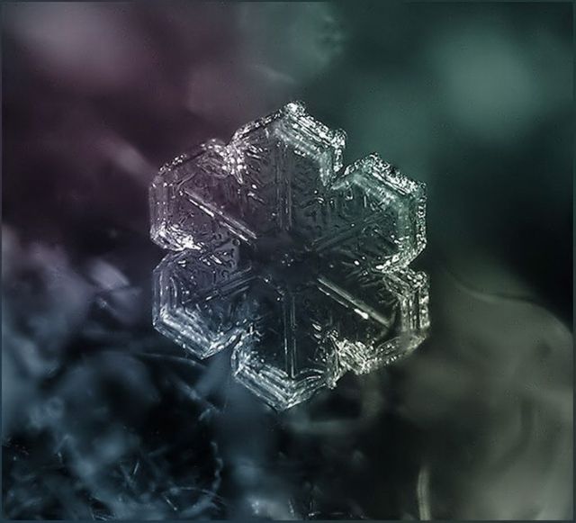 Unique and Beautiful Snowflakes (49 pics)