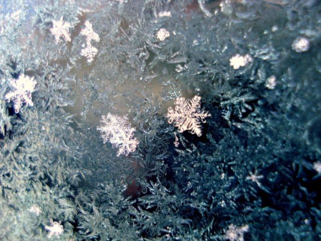 Unique and Beautiful Snowflakes (49 pics)