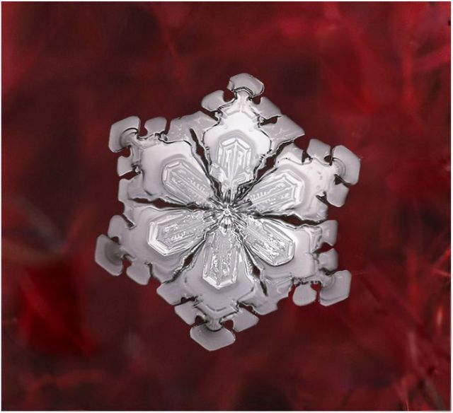 Unique and Beautiful Snowflakes (49 pics)