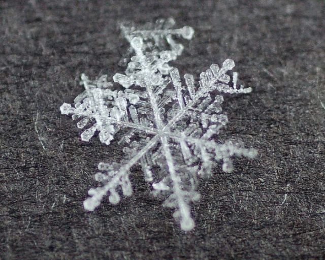 Unique and Beautiful Snowflakes (49 pics)