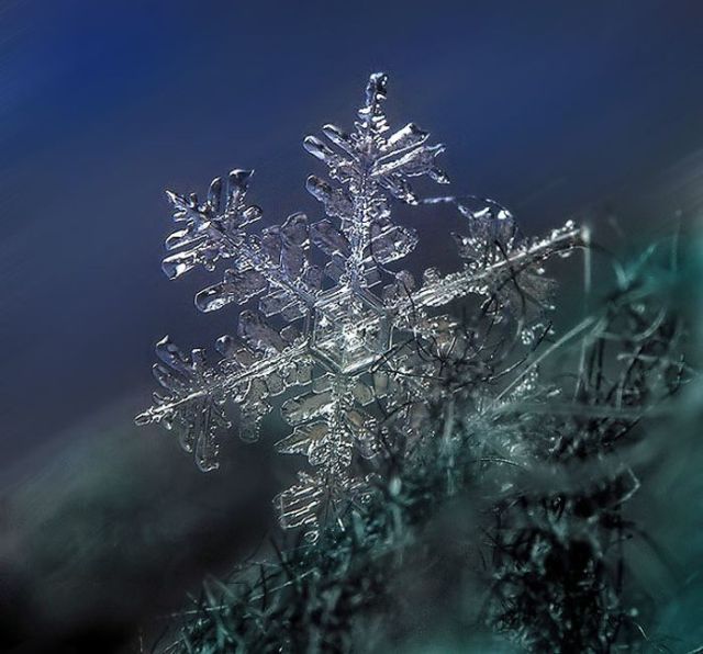 Unique and Beautiful Snowflakes (49 pics)
