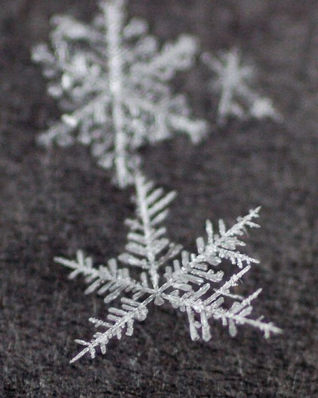 Unique and Beautiful Snowflakes (49 pics)