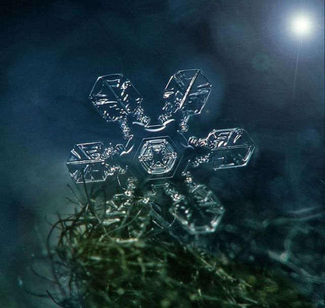 Unique and Beautiful Snowflakes (49 pics)