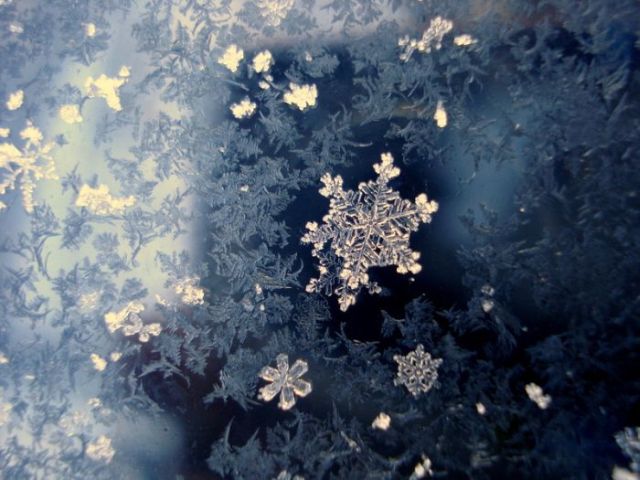Unique and Beautiful Snowflakes (49 pics)