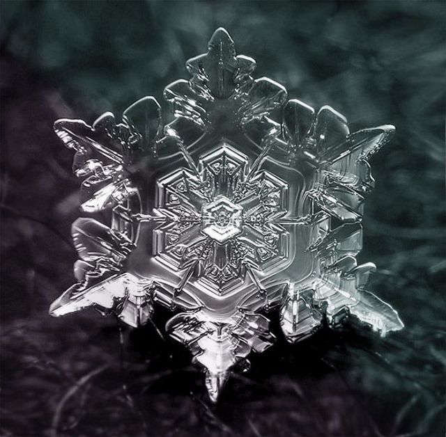Unique and Beautiful Snowflakes (49 pics)