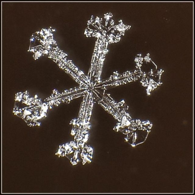 Unique and Beautiful Snowflakes (49 pics)
