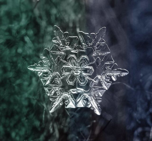 Unique and Beautiful Snowflakes (49 pics)