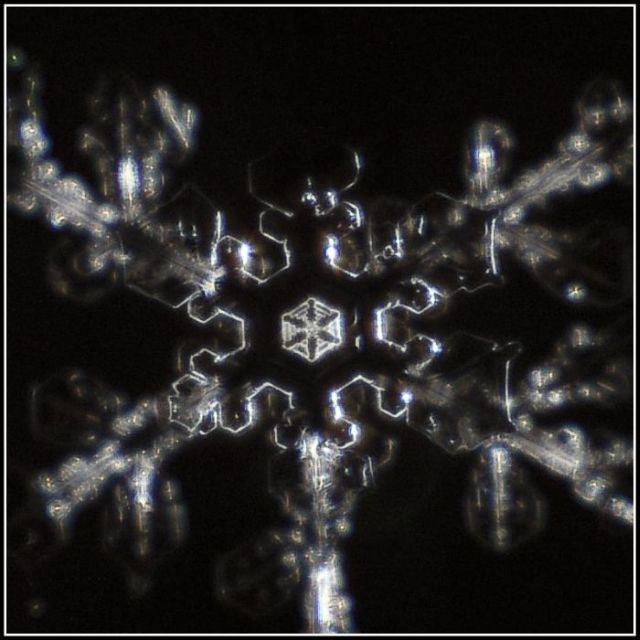 Unique and Beautiful Snowflakes (49 pics)