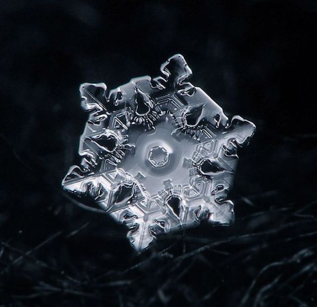 Unique and Beautiful Snowflakes (49 pics)