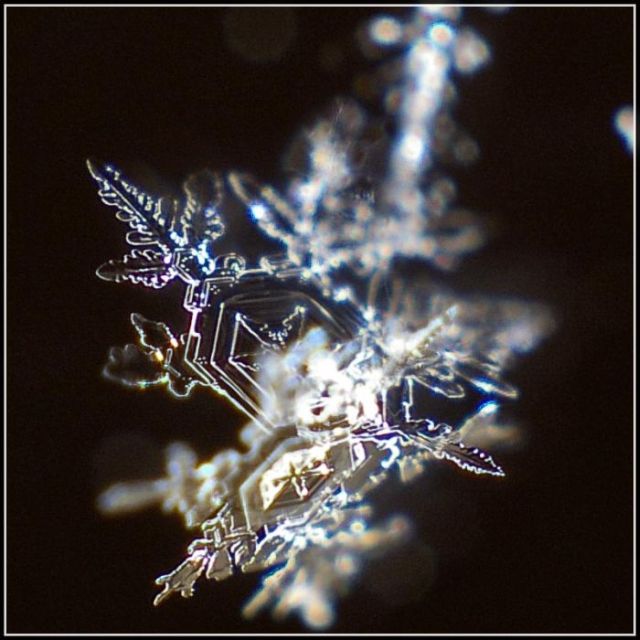 Unique and Beautiful Snowflakes (49 pics)