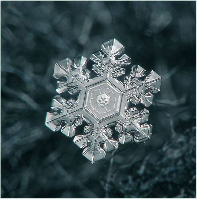 Unique and Beautiful Snowflakes (49 pics)