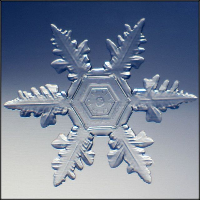 Unique and Beautiful Snowflakes (49 pics)