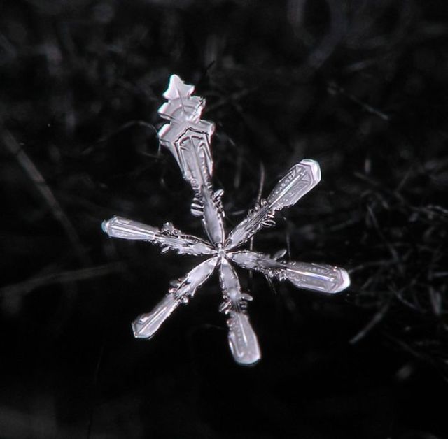 Unique and Beautiful Snowflakes (49 pics)