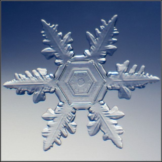 Unique and Beautiful Snowflakes (49 pics)