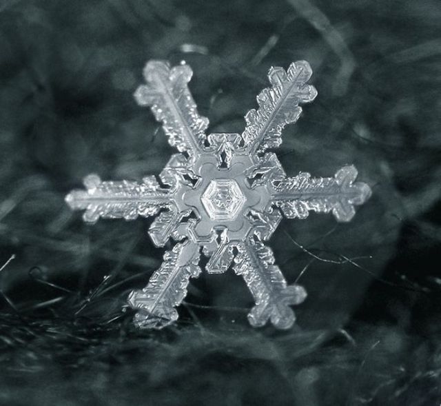 Unique and Beautiful Snowflakes (49 pics)