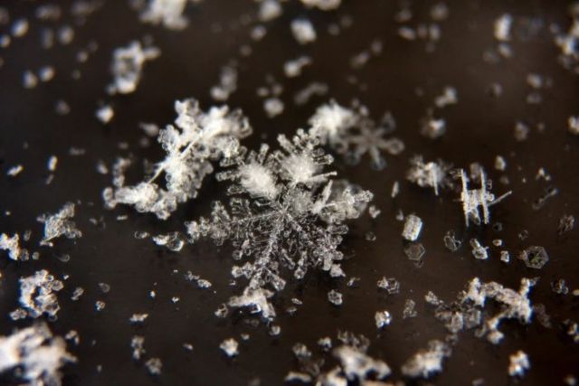 Unique and Beautiful Snowflakes (49 pics)