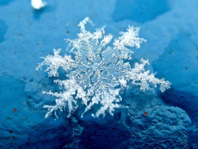 Unique and Beautiful Snowflakes (49 pics)