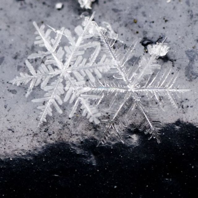 Unique and Beautiful Snowflakes (49 pics)