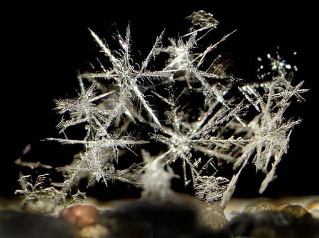 Unique and Beautiful Snowflakes (49 pics)