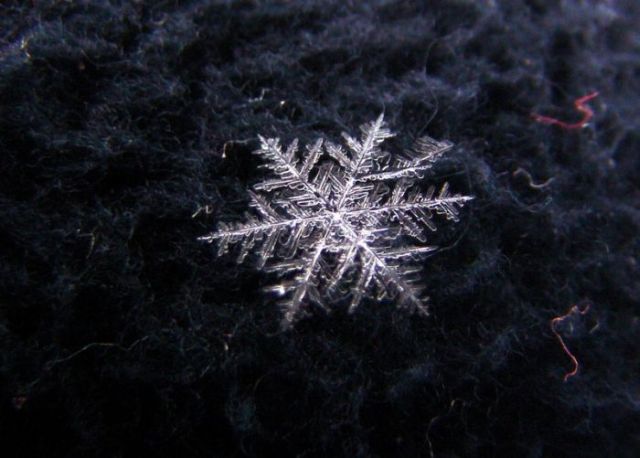 Unique and Beautiful Snowflakes (49 pics)