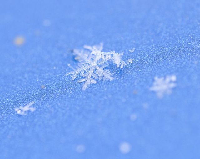 Unique and Beautiful Snowflakes (49 pics)