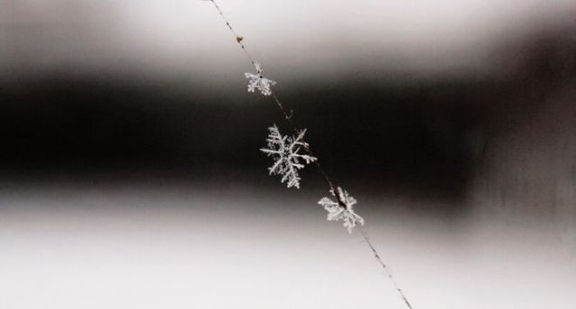 Unique and Beautiful Snowflakes (49 pics)
