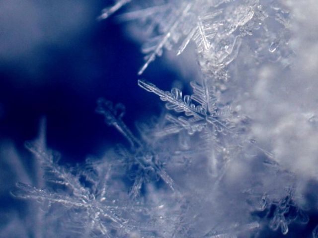 Unique and Beautiful Snowflakes (49 pics)