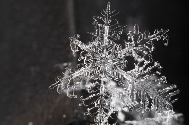 Unique and Beautiful Snowflakes (49 pics)