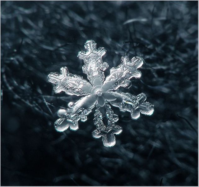 Unique and Beautiful Snowflakes (49 pics)