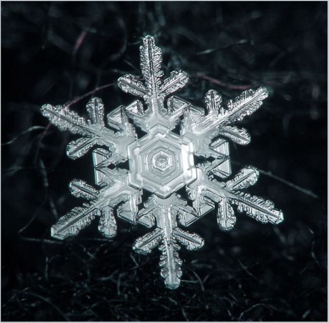 Unique and Beautiful Snowflakes (49 pics)