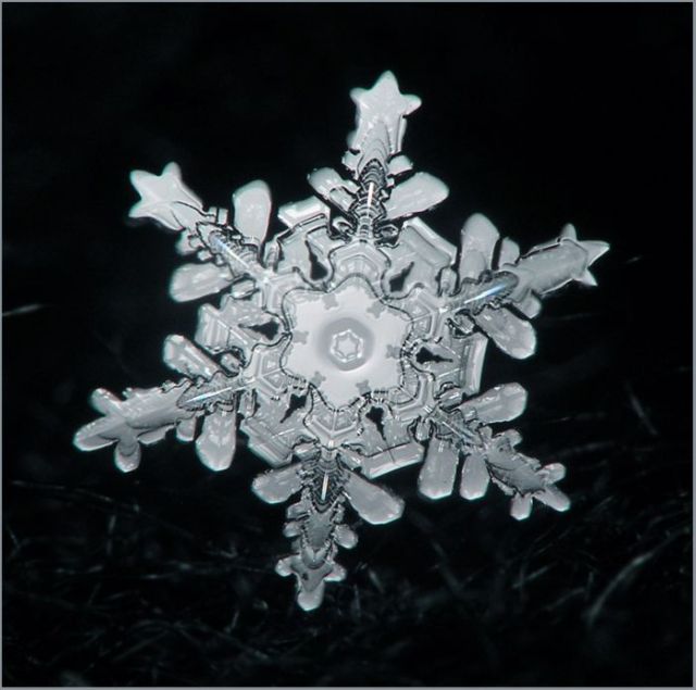 Unique and Beautiful Snowflakes (49 pics)