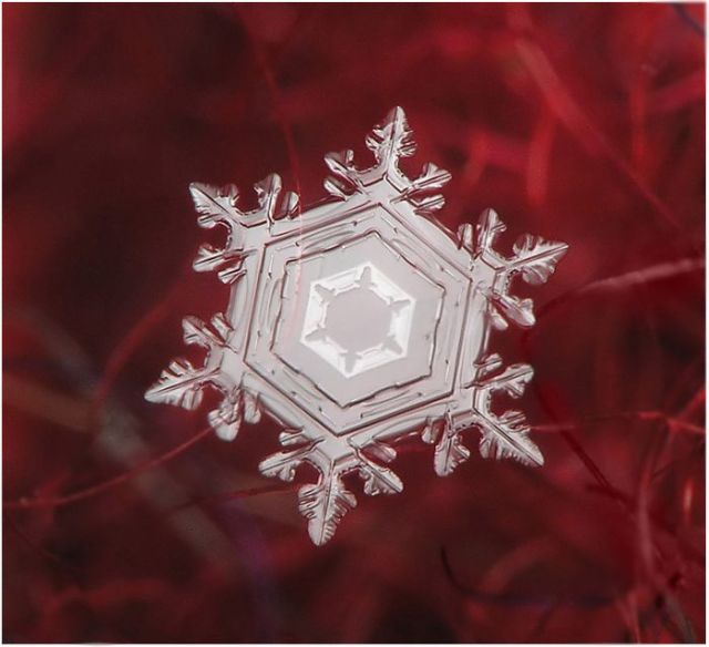 Unique and Beautiful Snowflakes (49 pics)