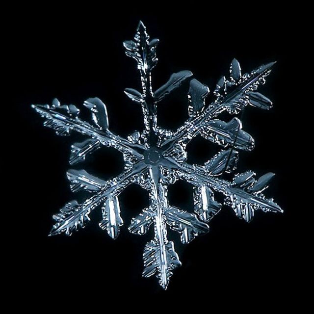 Unique and Beautiful Snowflakes (49 pics)