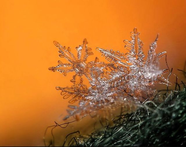 Unique and Beautiful Snowflakes (49 pics)