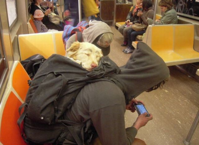 Daily picdump (139 pics)