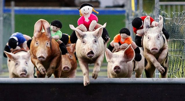 Daily picdump (139 pics)