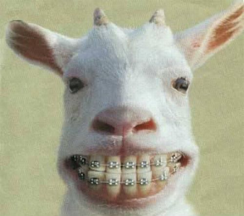 Daily picdump (139 pics)
