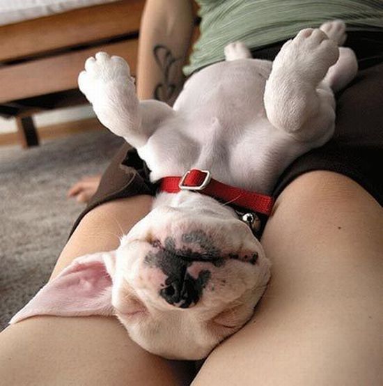 Daily picdump (139 pics)