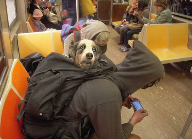 Daily picdump (139 pics)