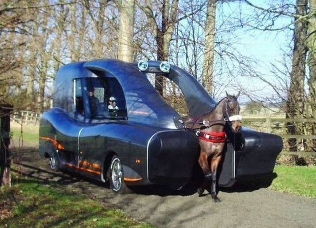 Daily picdump (139 pics)
