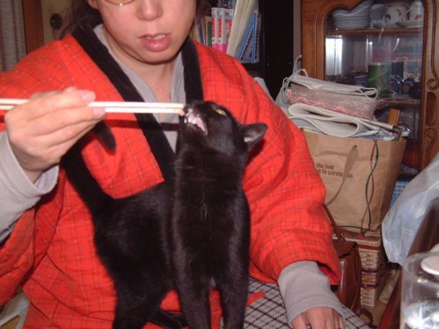Daily picdump (139 pics)