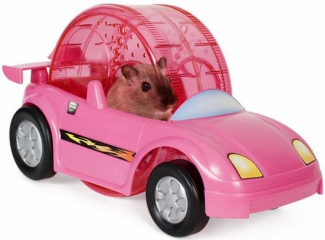 Daily picdump (139 pics)