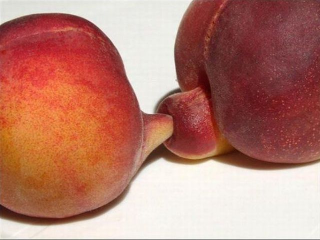 Daily picdump (139 pics)