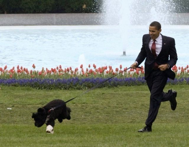 Daily picdump (139 pics)