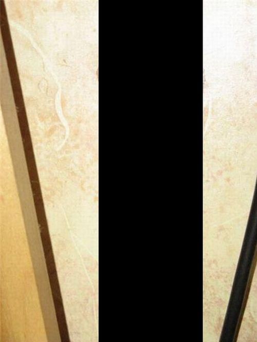 WTF Is This Thing on the Wall? (8 pics)