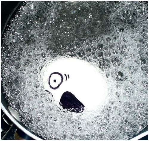 Fun with Fruits, Vegetables, Eggs and Other... (138 pics)